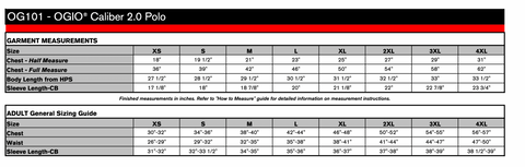 Polo with Embroidery